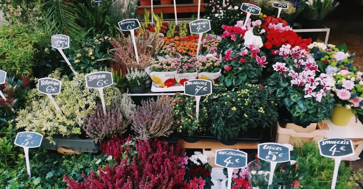 Bedden xxl kopen? Groot assortiment en scherpe prijzen