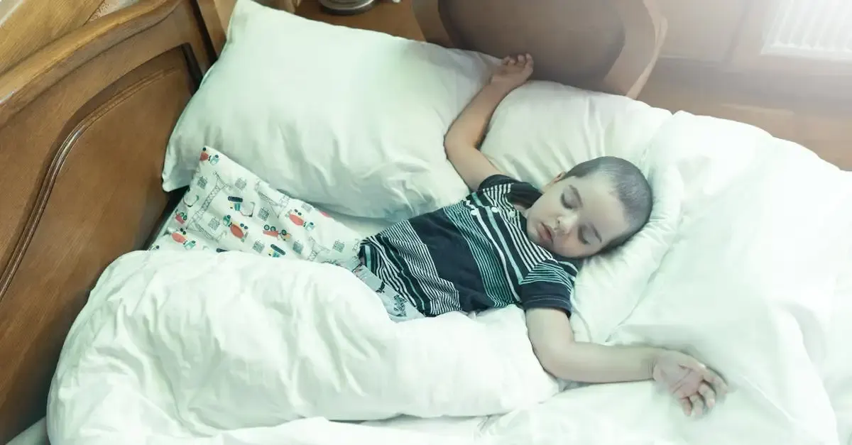 Bedden en dekens kopen | Kwaliteit en comfort
