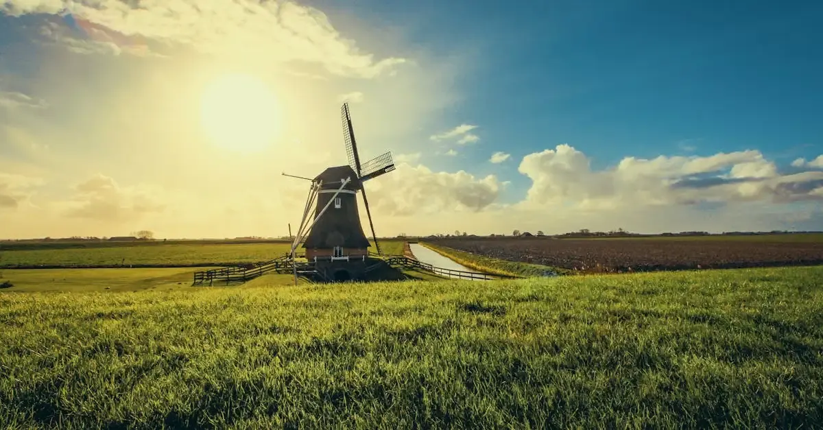 De jong bedden delfzijl