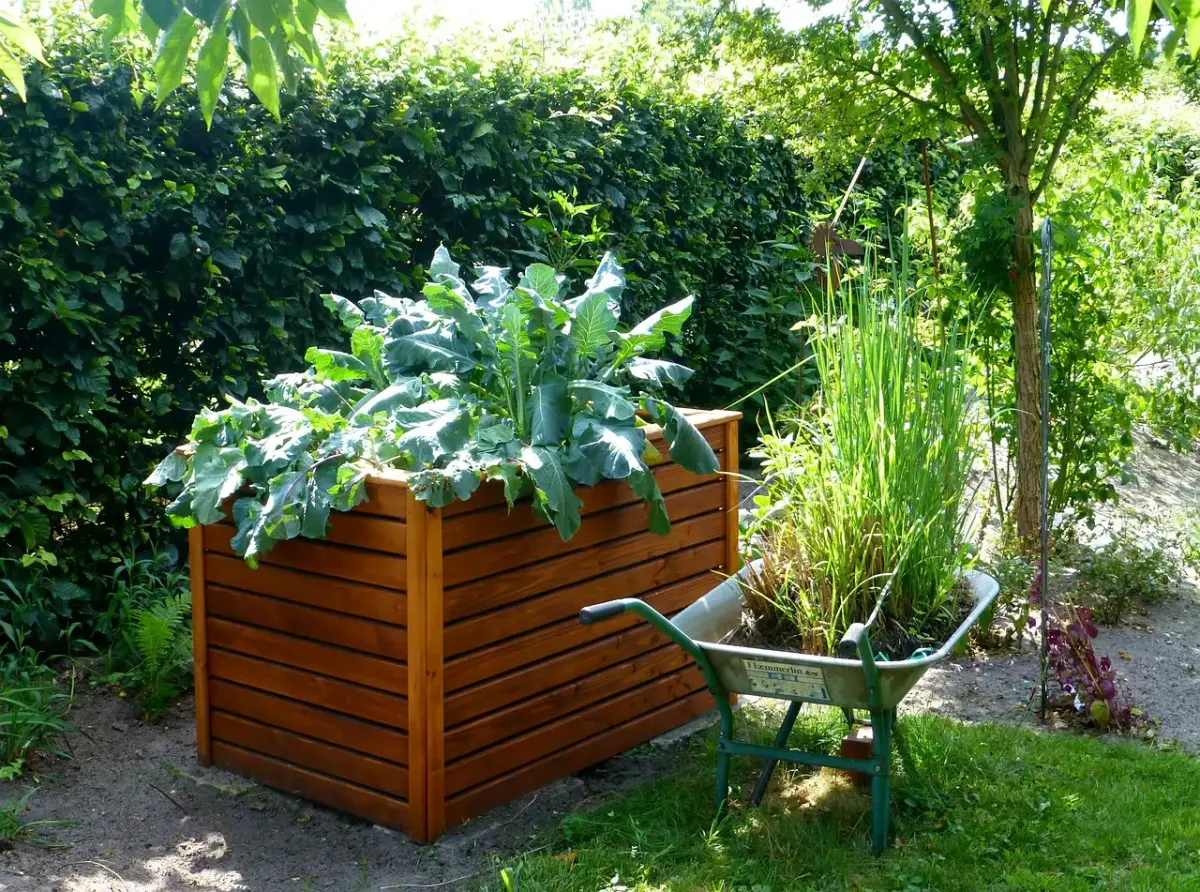 Verhoogde bedden: voordelen en tips voor een mooie tuin