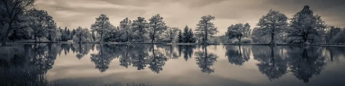 Water bedden